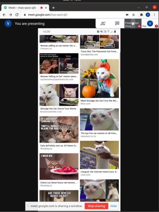 Cat memes in Google meet via screen sharing a scrcpy window